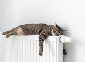 Radiators